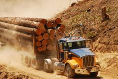 Fleet management for forestry assets