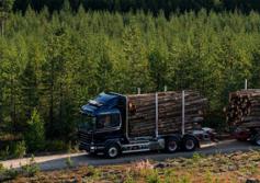 GSatTrack brings fleet management solutions to the forestry sector