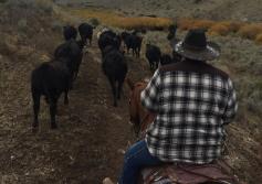 ranching_man