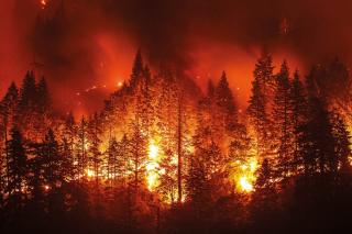 fires fires
